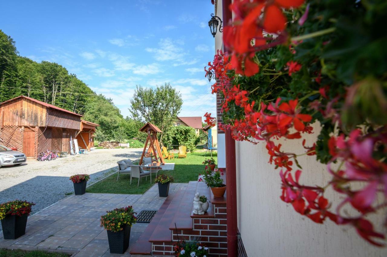 Casa Moldovan Sovata Εξωτερικό φωτογραφία