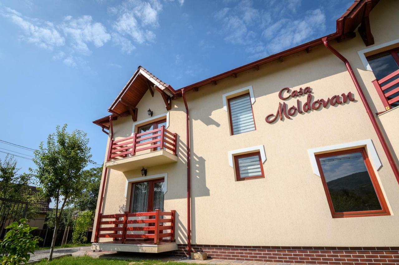Casa Moldovan Sovata Εξωτερικό φωτογραφία